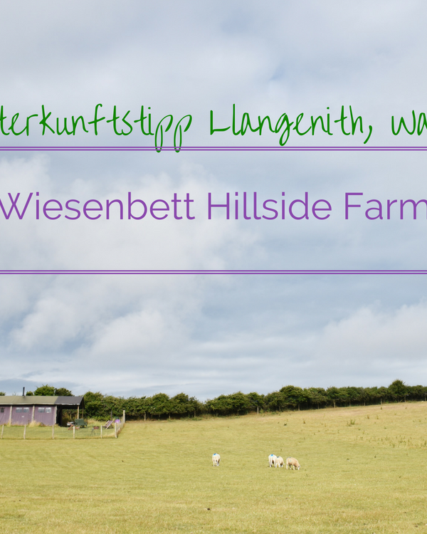 Glamping Gower Peninsula, Wales: Wiesenbett Hillside Farm