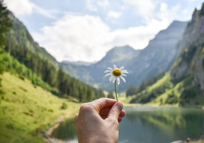 Die schönsten Schweizer Seen