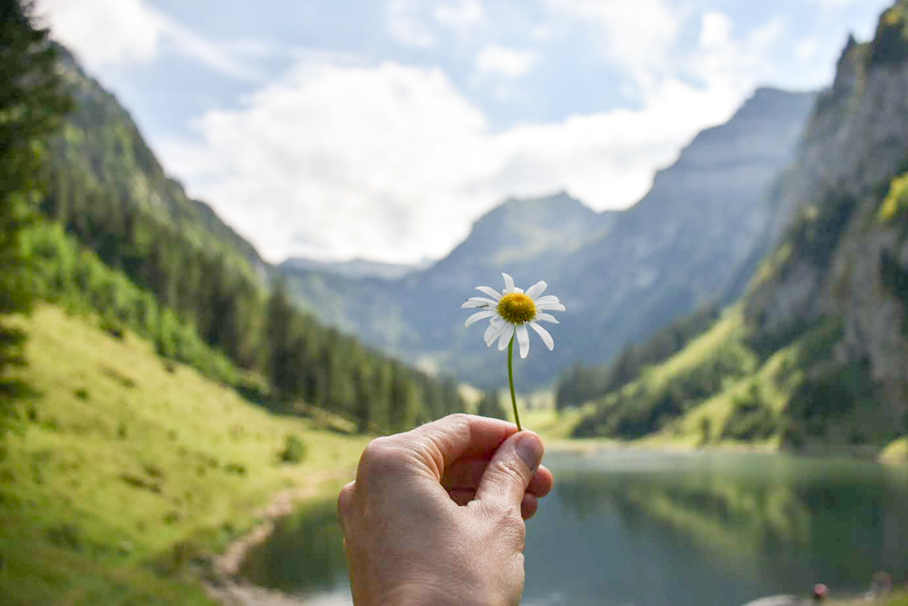 Der schönste Schweizer See – Meine persönlichen Favoriten