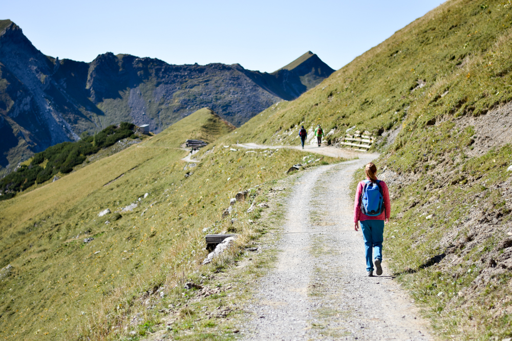 Wanderung Liechtenstein Fürstin-Gina-Weg Pfälzerhütte breiter Weg zur Alp Gritsch