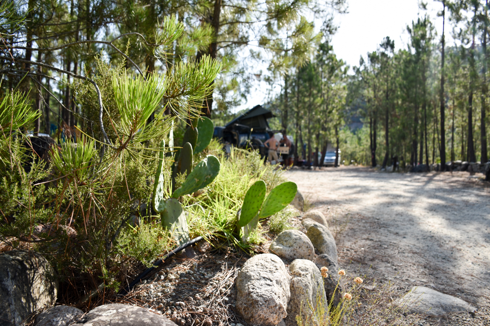 Camping Rundreise Korsika tolle Stellplätze Campingplatz Merendella