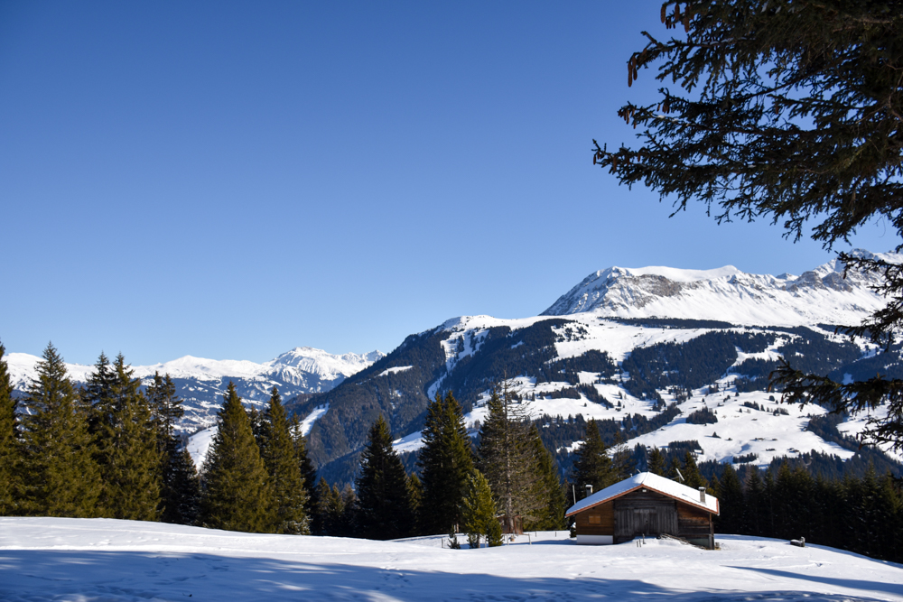 Winterwanderung Edelweiss-Rundweg Brambrüesch Graubünden Schweiz Blick über die verschneite Winterlandschaft