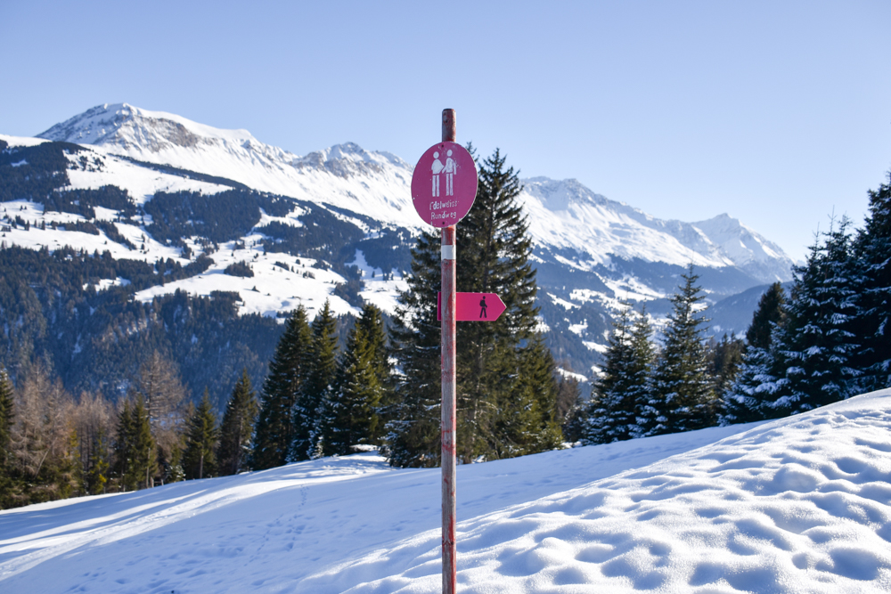 Winterwanderung Edelweiss-Rundweg Brambrüesch Graubünden Schweiz Wegweiser
