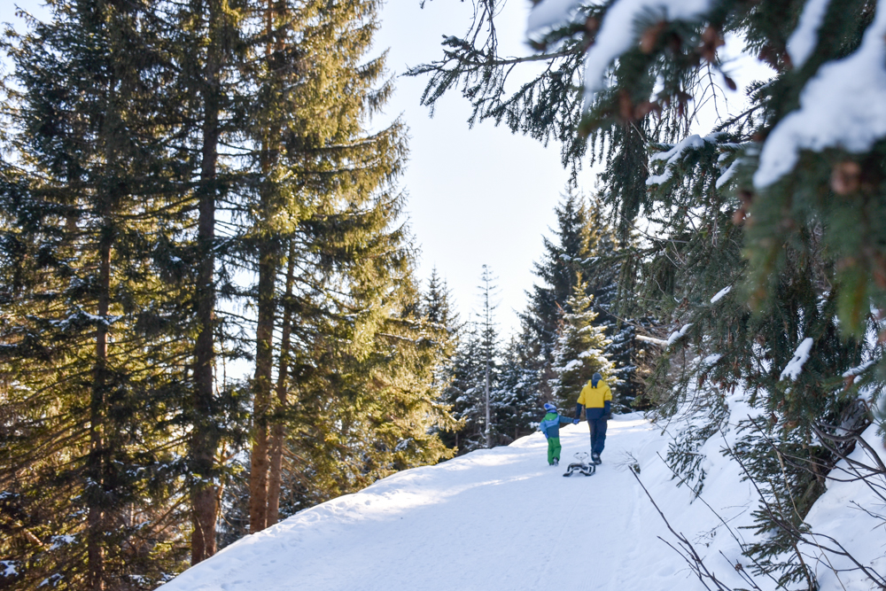 Winterwanderung Edelweiss-Rundweg Brambrüesch Graubünden Schweiz