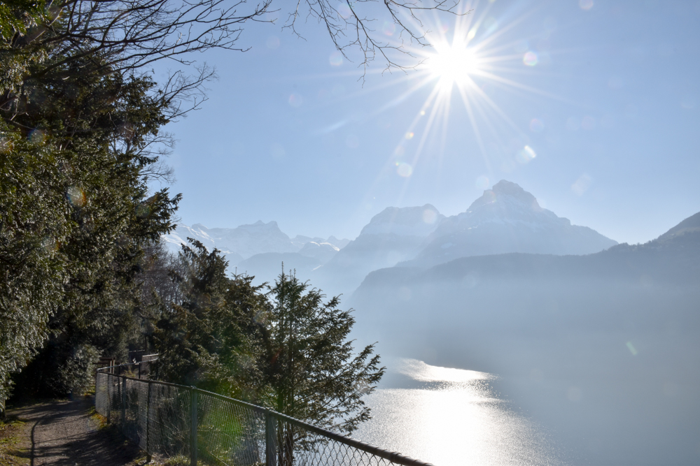 Unterkunft Reka-Ferienresort Swiss Holiday Park Morschach Schwyz Schweiz Aussicht Vierwaldstättersee Waldpark