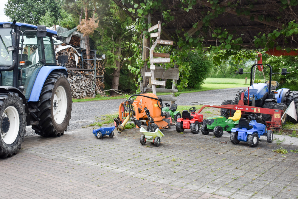 Familienroute Bodensee Rhein Bad Ragaz bis Schaffhausen Fahrradtour Schweiz Fahrzeuge für Kinder Bauernhof Steigmatt Montlingen