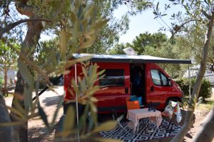Camping Rundreise Kroatien Familie Stellplatz zwischen Olivenbäumen Camping Kovacine