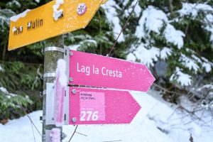 Kulinarik Trail Winter Flims Graubünden Schweiz Abzweigung Crestasee