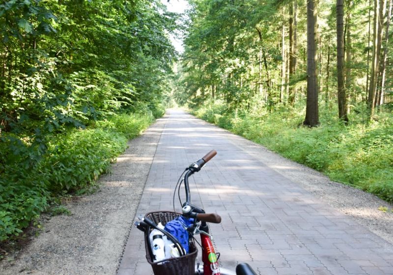In der Mecklenburgischen Seenplatte lohnt sich eine Radtour durch den Müritz-Nationalpark