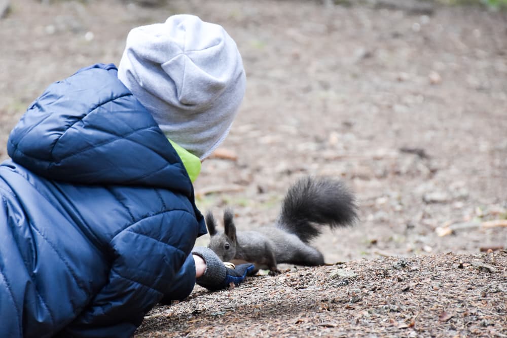 Der Besuch des Eichhörnchenwald in der Lenzerheide ist ein tolles Erlebnis für Familien