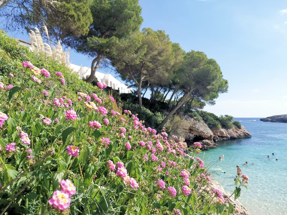 Die wunderschöne Cala Esmeralda ist ein toller Strandtipp für Cala d'Or auf Mallorca