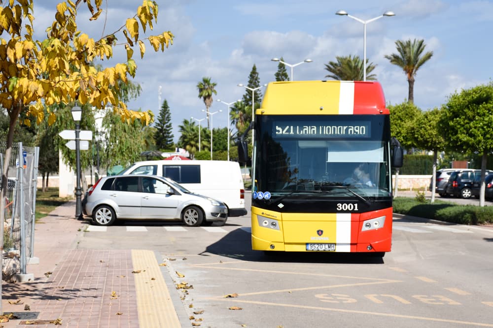 Die Busfahrt von Cala d'Or zum Naturpark Mondragó ist ein Higlight auf Mallorca