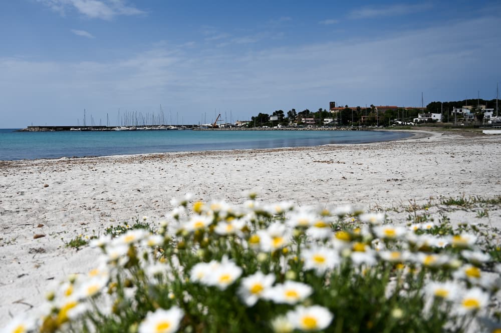 Der Campingplatz Camping Village Laguna Blu liegt ausserhalb von Alghero in Strandnähe