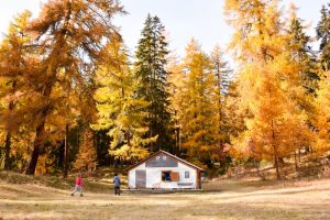Herbstfarben geniessen beim Ausflug nach Guarda mit Kindern