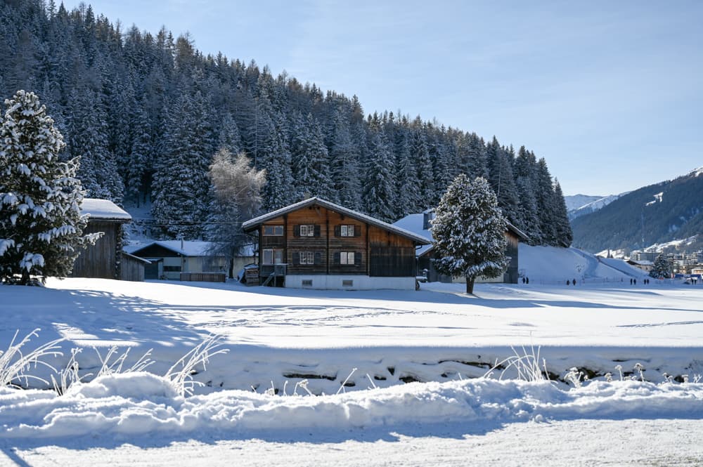 Langlauf Einstieg Hotel Precise Tale Seehof Davos