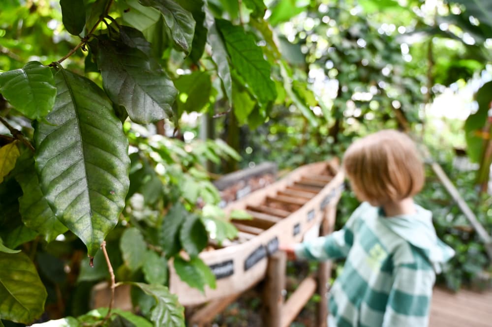 Familienausflug Tropenhaus Frutigen