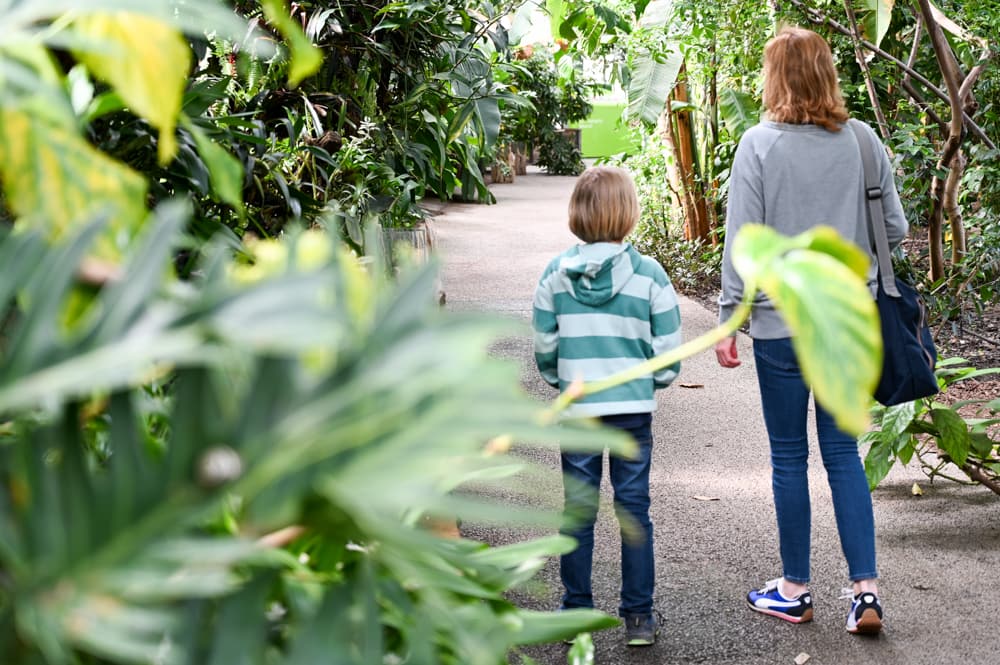 Familienfreundlicher Ausflug im Berner Oberland ins Tropenhaus Frutigen