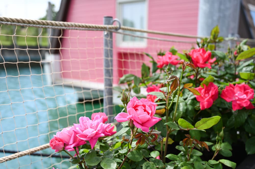 Glamping Lignano Sabbiadoro Hausboot Marina Azzurra Resort