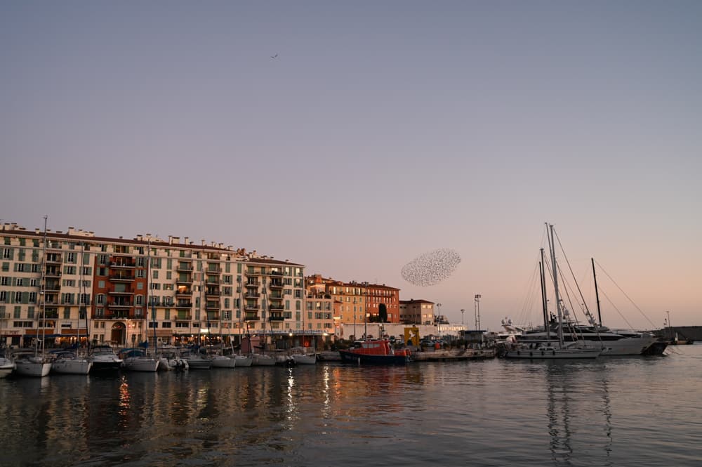 Nizza mit Kindern