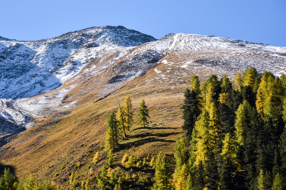 Familienfreundliche Herbstwanderung Val Trupchun Engadin