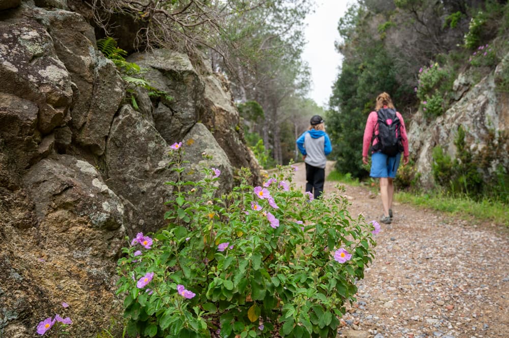 Elba familienfreundliche Camping Rundreise