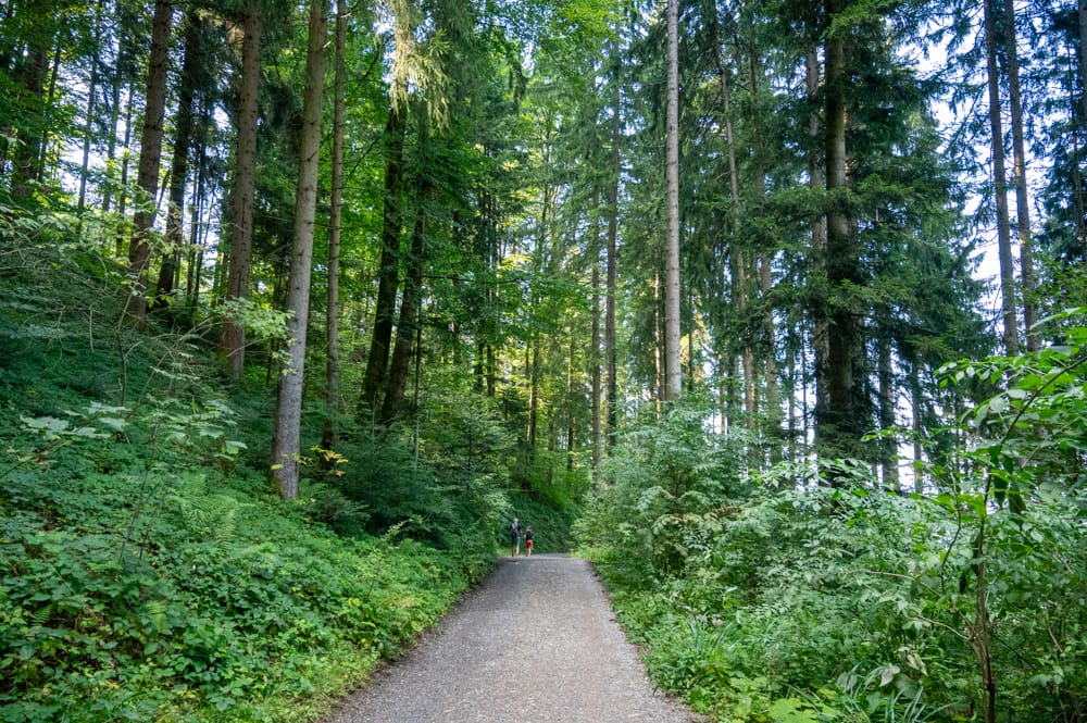 Familienwanderung Dornbirn Karren