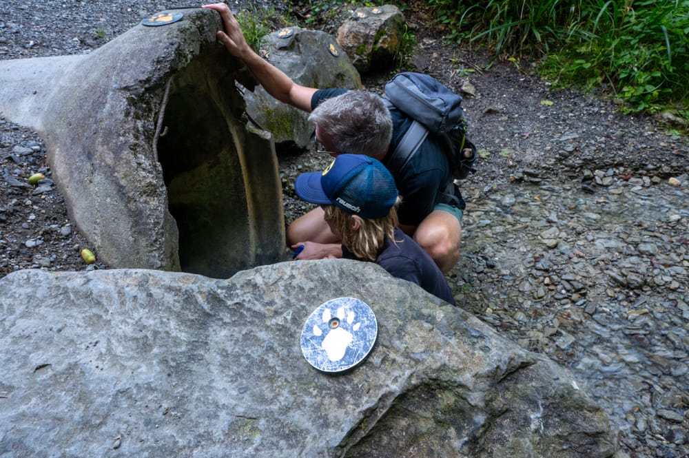 Familienwanderung Dornbirn Karren