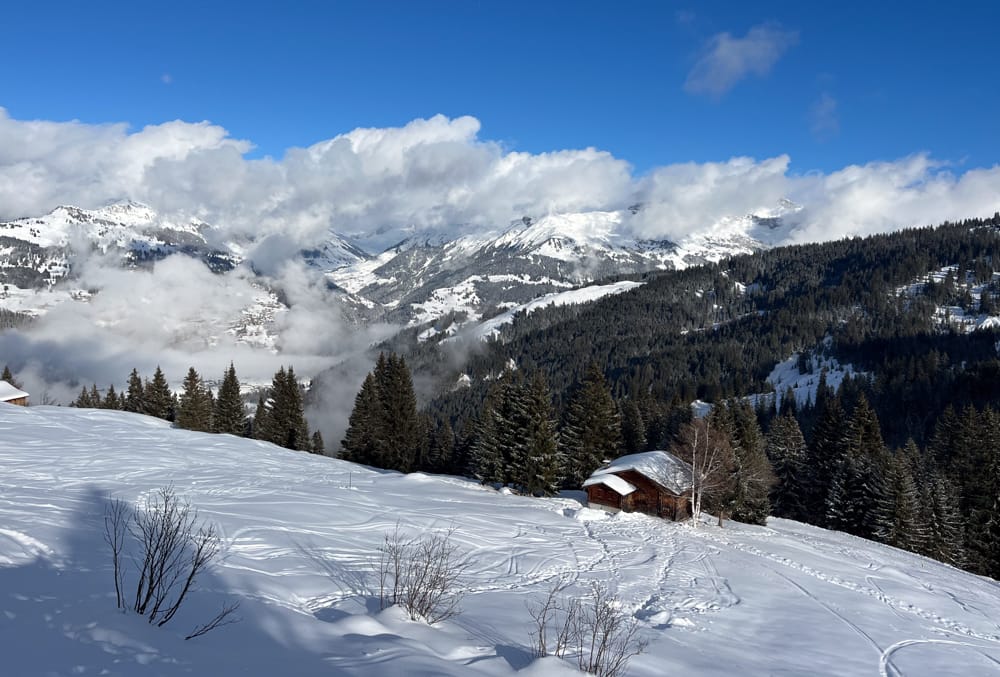 Schlittelweg Fideriser Heuberge