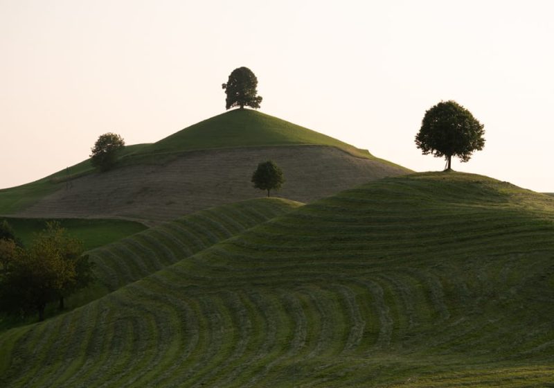 Amazing Views Fotoworkshop Drumlins