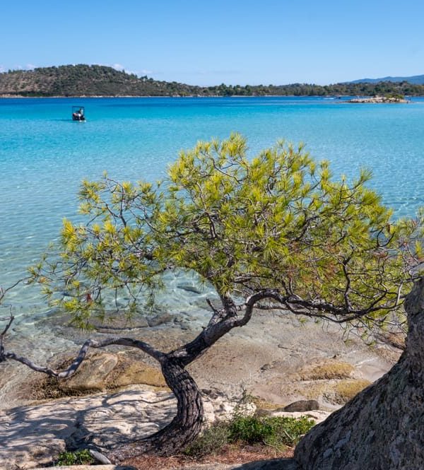 Chalkidiki mit Kindern Griechenland