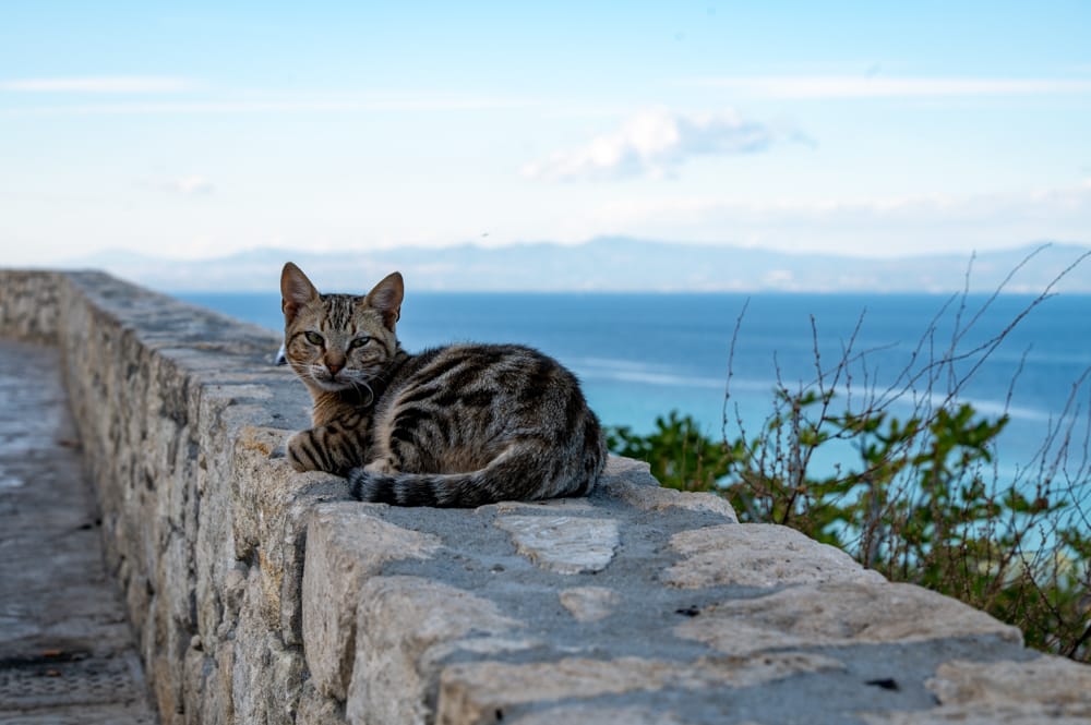 Chalkidiki mit Kindern Griechenland